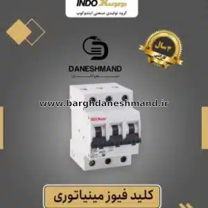 فیوز 3 فاز 16 آمپر برند ایندوکوپ