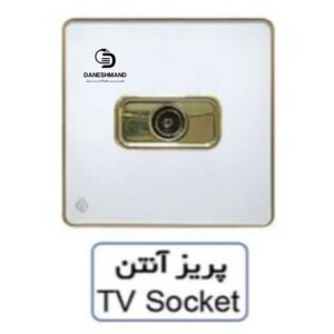 پریز آنتن آسیا سفید طلایی مدل یاقوت