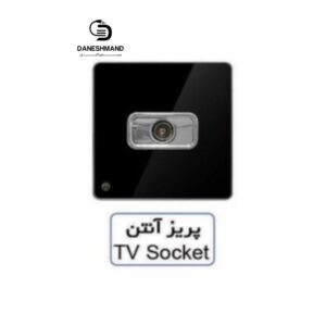 پریز آنتن آسیا مشکی نقره ایی مدل یاقوت