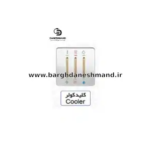 کلید کولر   آسیا سفید طلایی مدل کریستال