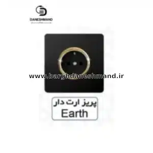 پریز  ارت دار  آسیا مشکی طلایی مدل کریستال
