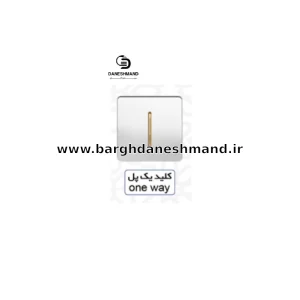 کلید یک پل   آسیا سفید طلایی مدل کریستال