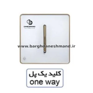 کلید یک پل آسیا سفید طلایی مدل یاقوت