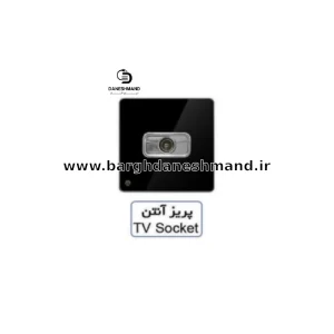 پریز  آنتن  آسیا مشکی نقره ایی مدل یاقوت