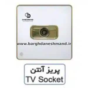 پریز  آنتن آسیا سفید طلایی مدل یاقوت