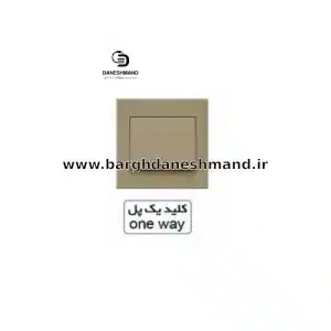 کلید یک پل  آسیا بژ مدل اریک