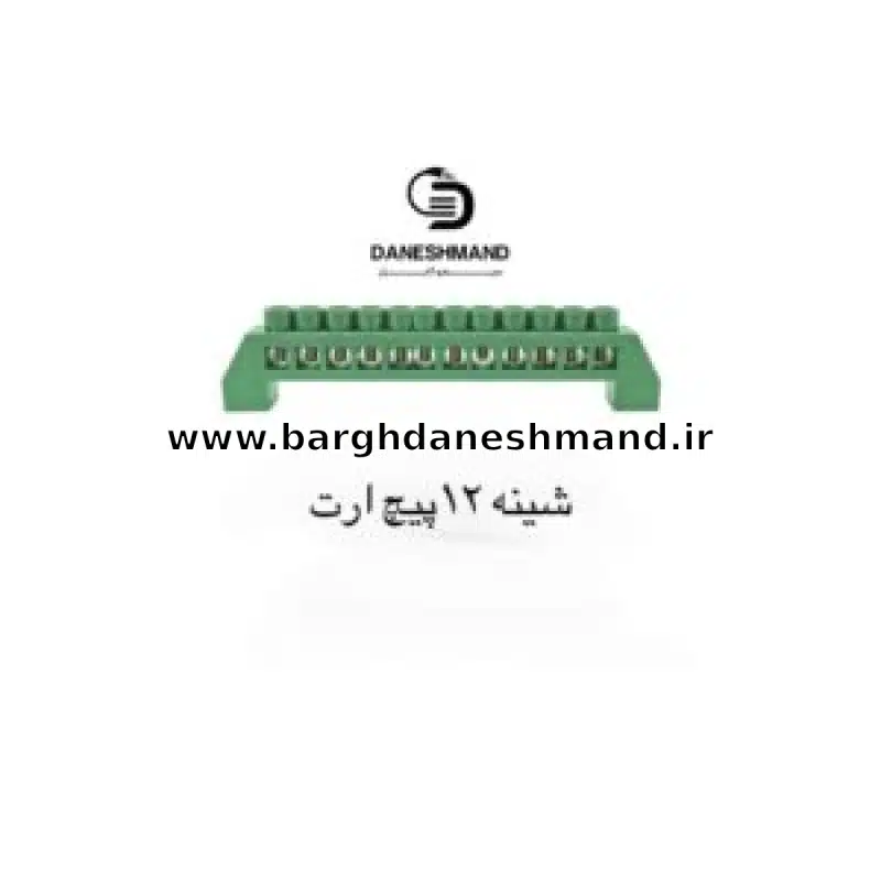 شینه 12 پیج ارت