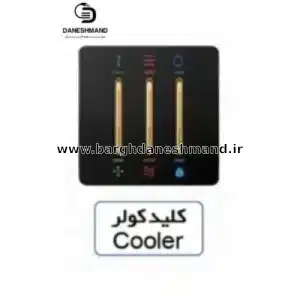 کلید کولر آسیا مشکی طلایی مدل کریستال