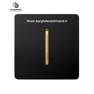 کلید تبدیل آسیا مشکی طلایی مدل کریستال